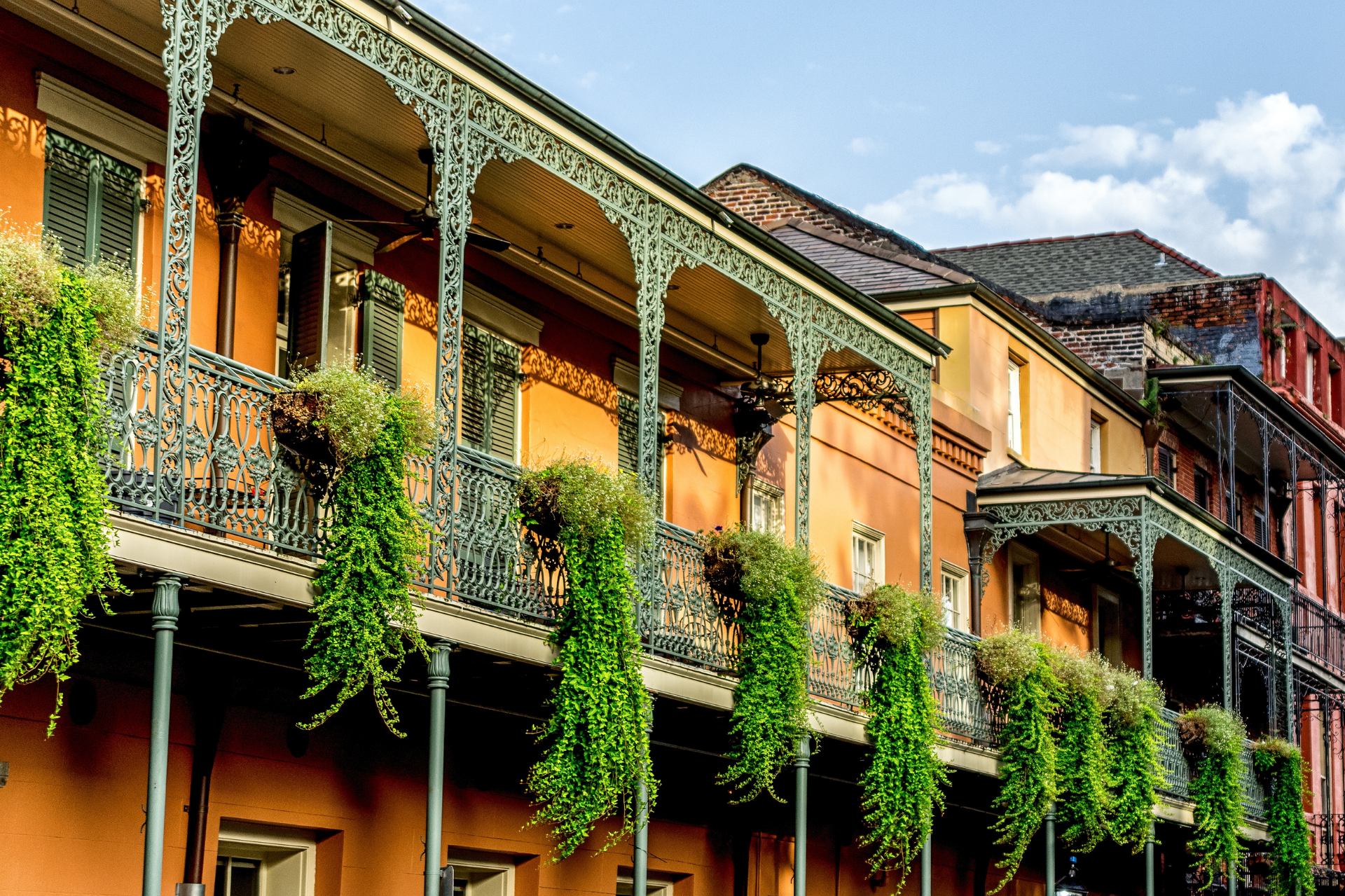 French Quarter Balconies with Hanging Plants