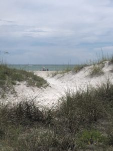 Sand dunes at Bean Point Beach, Florida