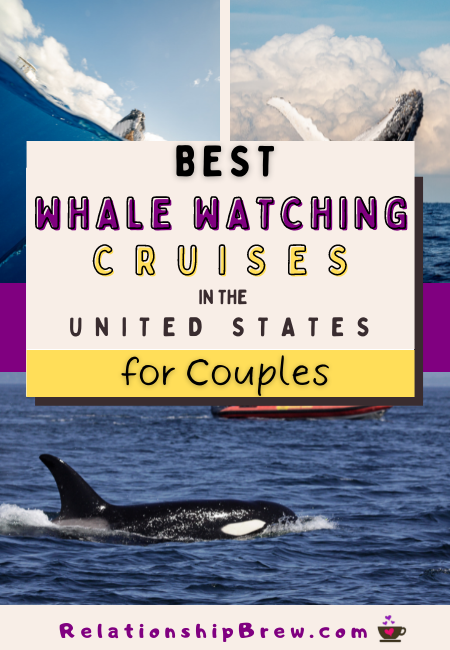 Best Whale Watching Cruise Destinations in the US for Couples